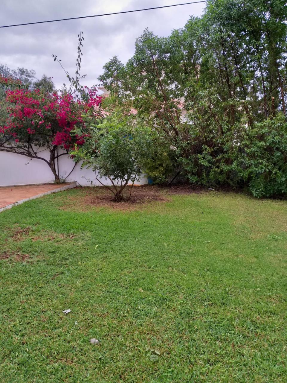 Quinta Da Moura Casa-De-Campo Konuk evi Tavira Dış mekan fotoğraf