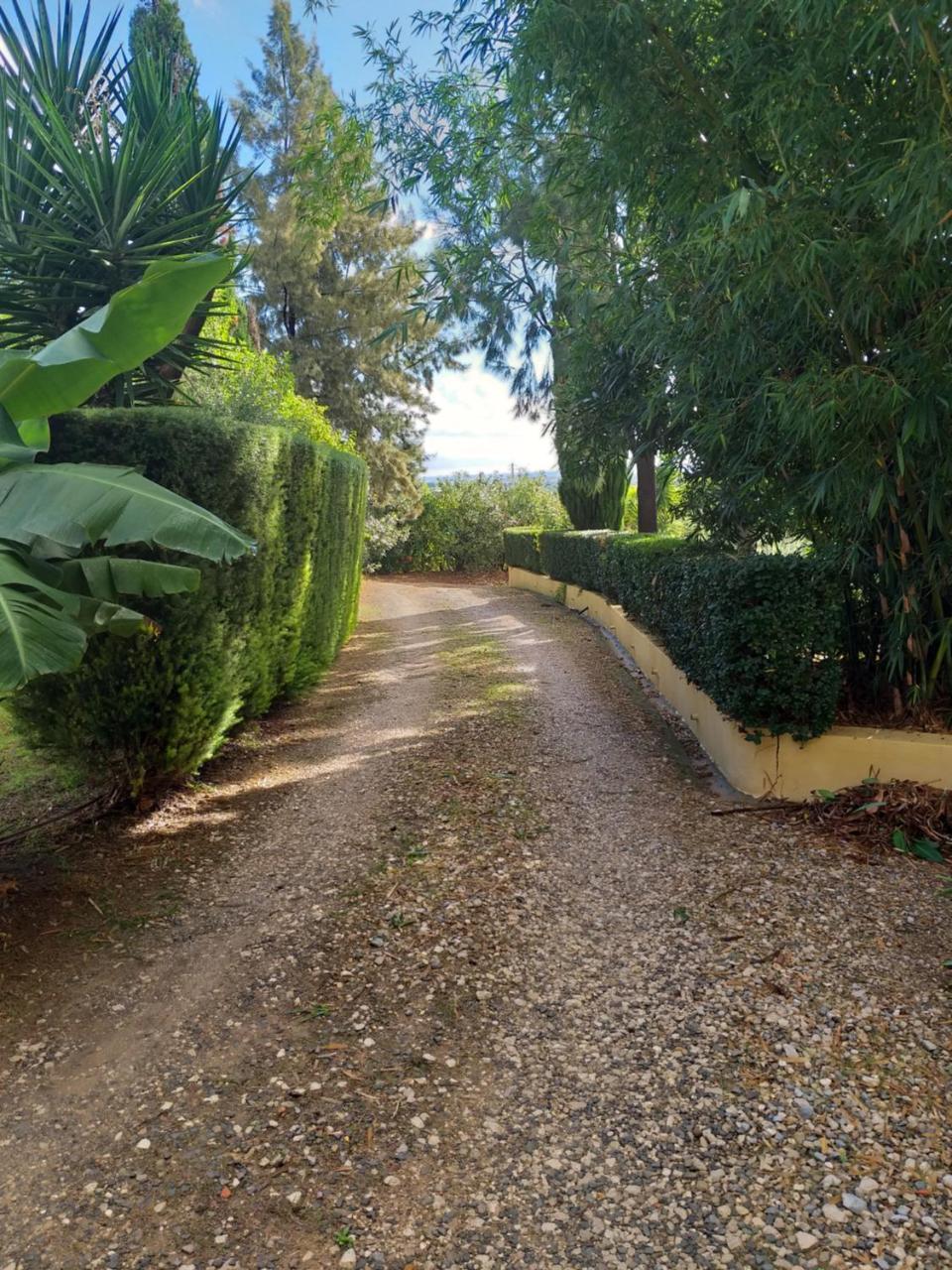 Quinta Da Moura Casa-De-Campo Konuk evi Tavira Dış mekan fotoğraf