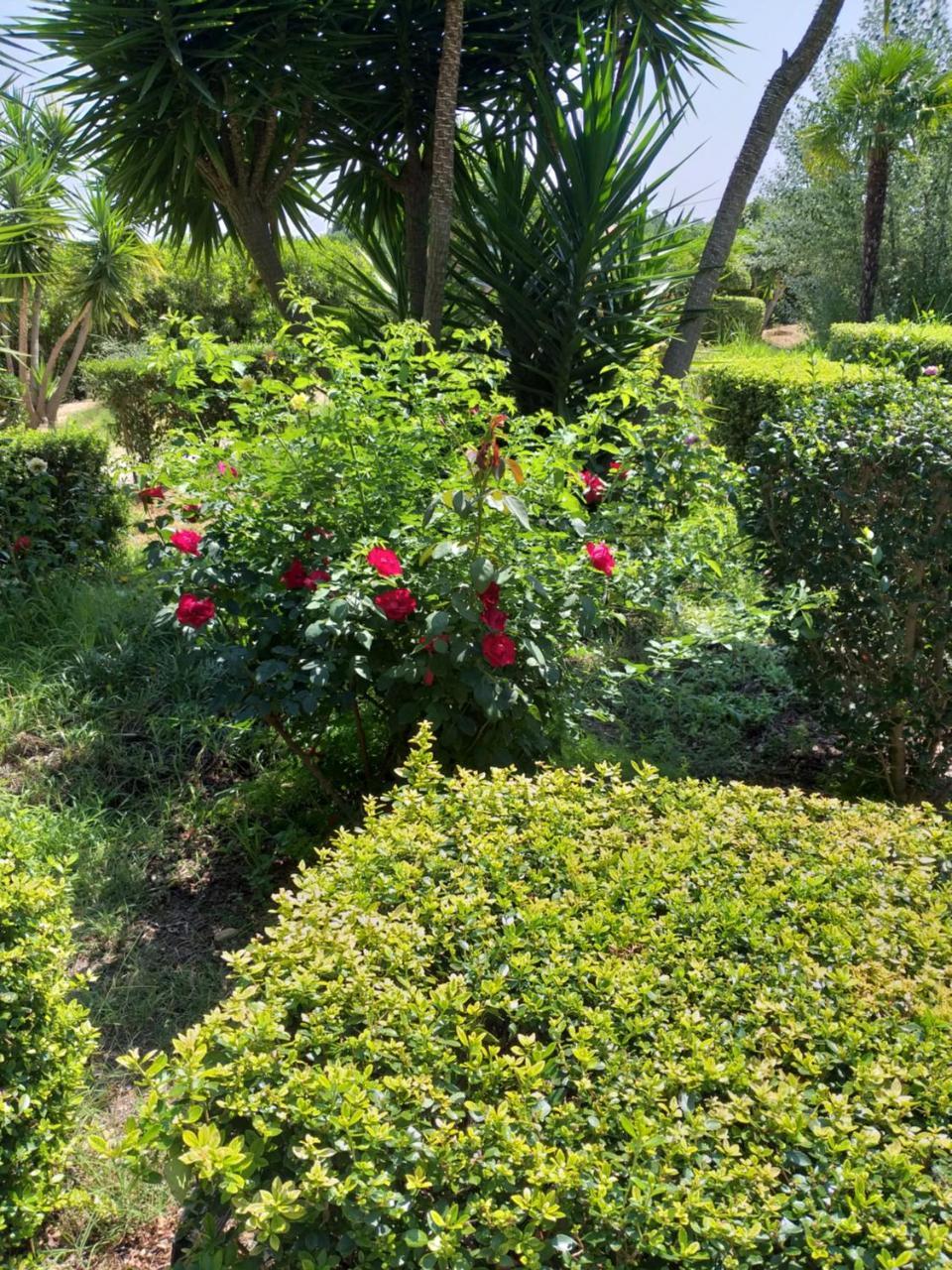 Quinta Da Moura Casa-De-Campo Konuk evi Tavira Dış mekan fotoğraf